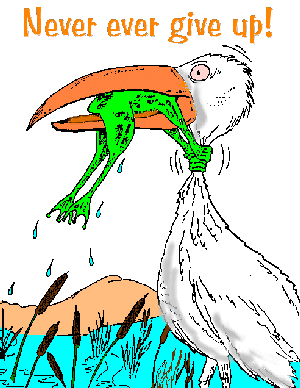 the frog kicks ASS, man!